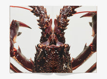 Load image into Gallery viewer, WHANZINE BOX 101 - 112