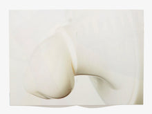 Load image into Gallery viewer, Tenner