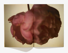 Load image into Gallery viewer, Blomst Blomst