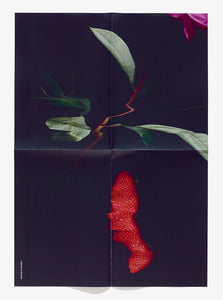 Strawberry Poster