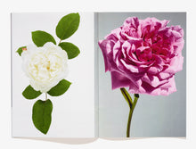 Load image into Gallery viewer, 38, Flower