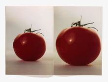 Load image into Gallery viewer, 47, Advocado