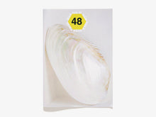 Load image into Gallery viewer, 48, Shells