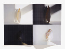 Load image into Gallery viewer, 48, Shells