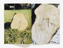 Load image into Gallery viewer, 51, Logs