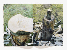 Load image into Gallery viewer, 51, Logs