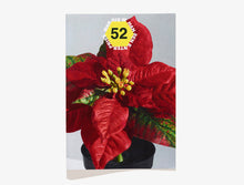 Load image into Gallery viewer, 52, Julestjerne