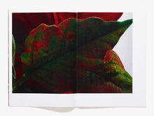 Load image into Gallery viewer, 52, Julestjerne