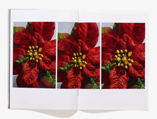 Load image into Gallery viewer, 52, Julestjerne