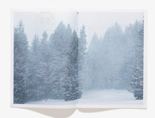 Load image into Gallery viewer, 54, Alps
