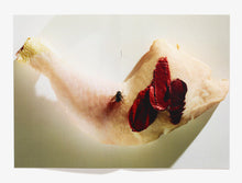 Load image into Gallery viewer, 56, Chicken