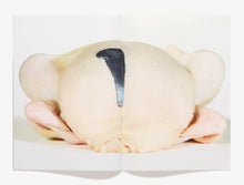 Load image into Gallery viewer, 56, Chicken
