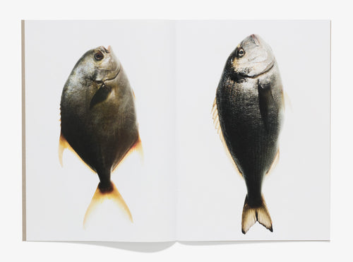 105, Fish