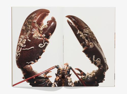 107, Lobster