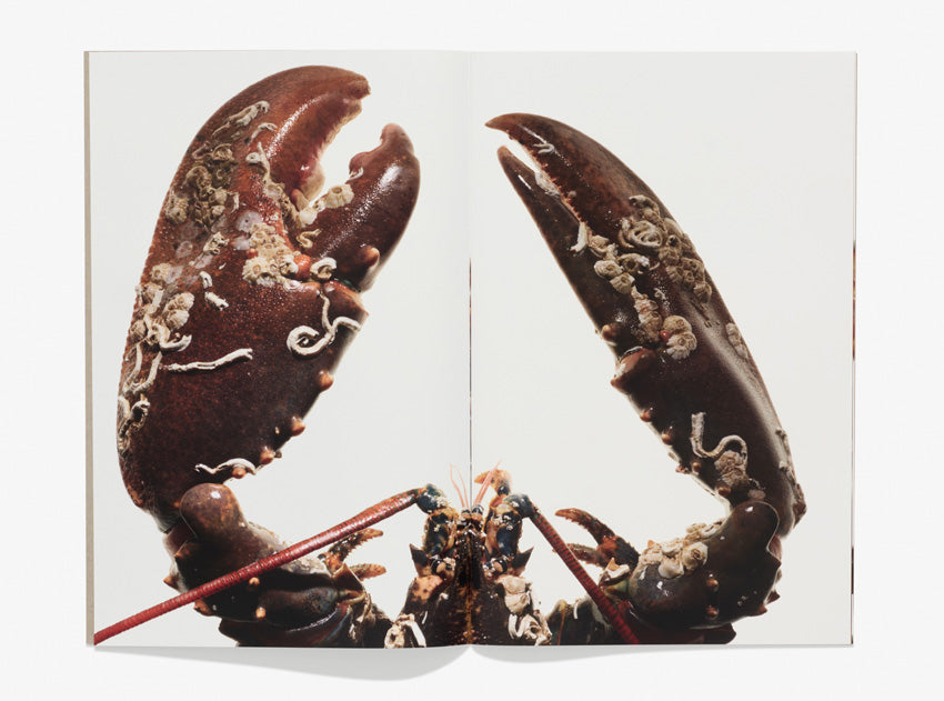 107, Lobster