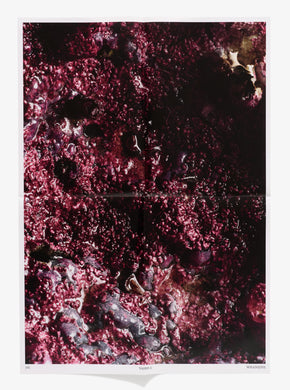 Vases #3 Poster