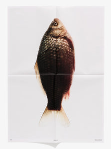 Fish #2 Poster