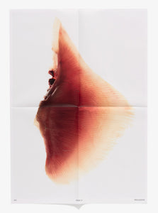 Fish #3 Poster
