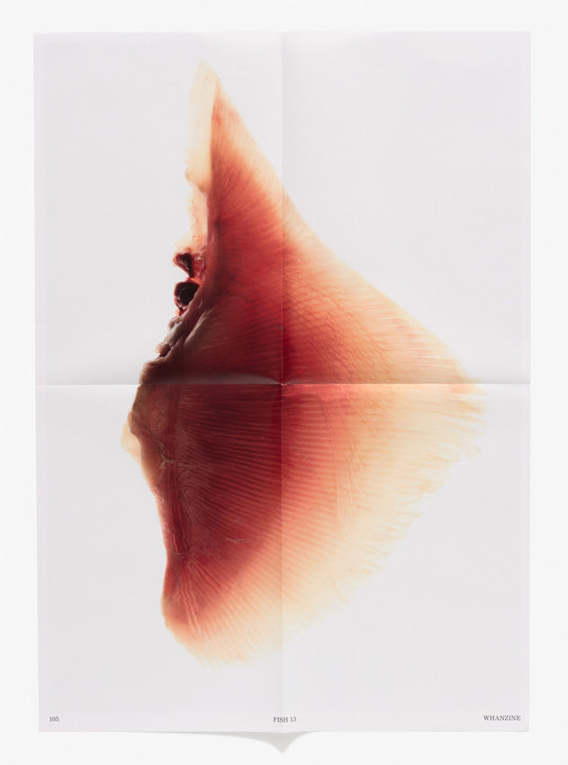 Fish #3 Poster