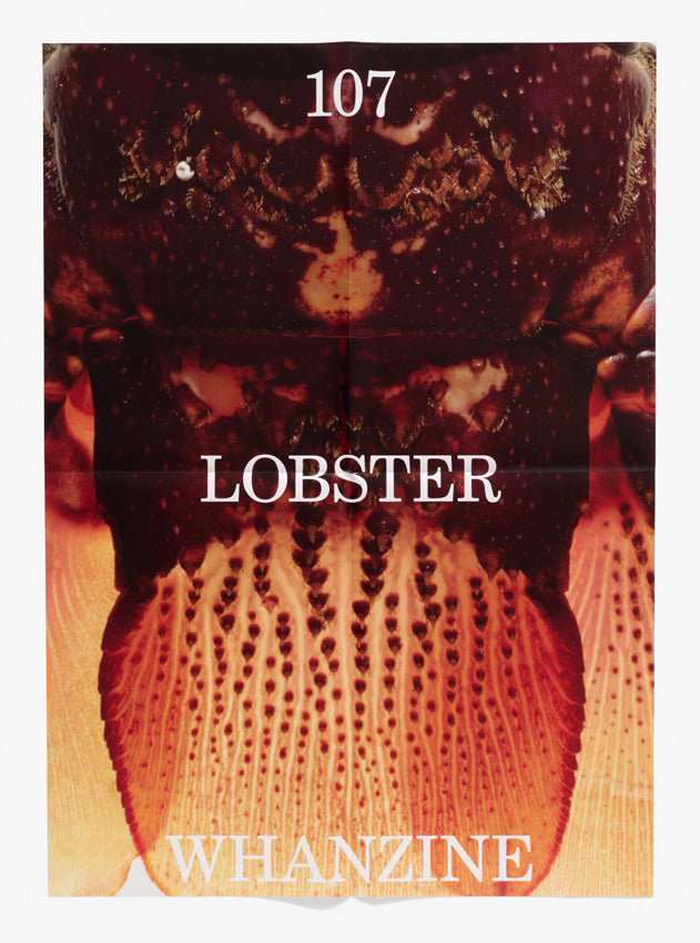 Lobster #4 Poster