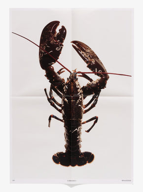 Lobster #1 Poster