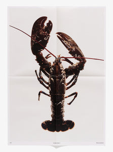 Lobster #1 Poster