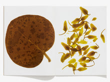 Load image into Gallery viewer, 114, Pickles