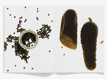 Load image into Gallery viewer, 114, Pickles