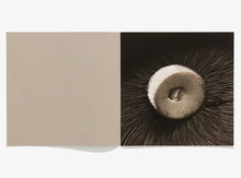 Load image into Gallery viewer, 116, Mushroom
