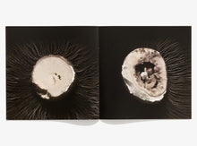 Load image into Gallery viewer, 116, Mushroom