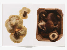 Load image into Gallery viewer, 120, Fungi