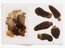 Load image into Gallery viewer, 120, Fungi
