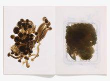Load image into Gallery viewer, 120, Fungi