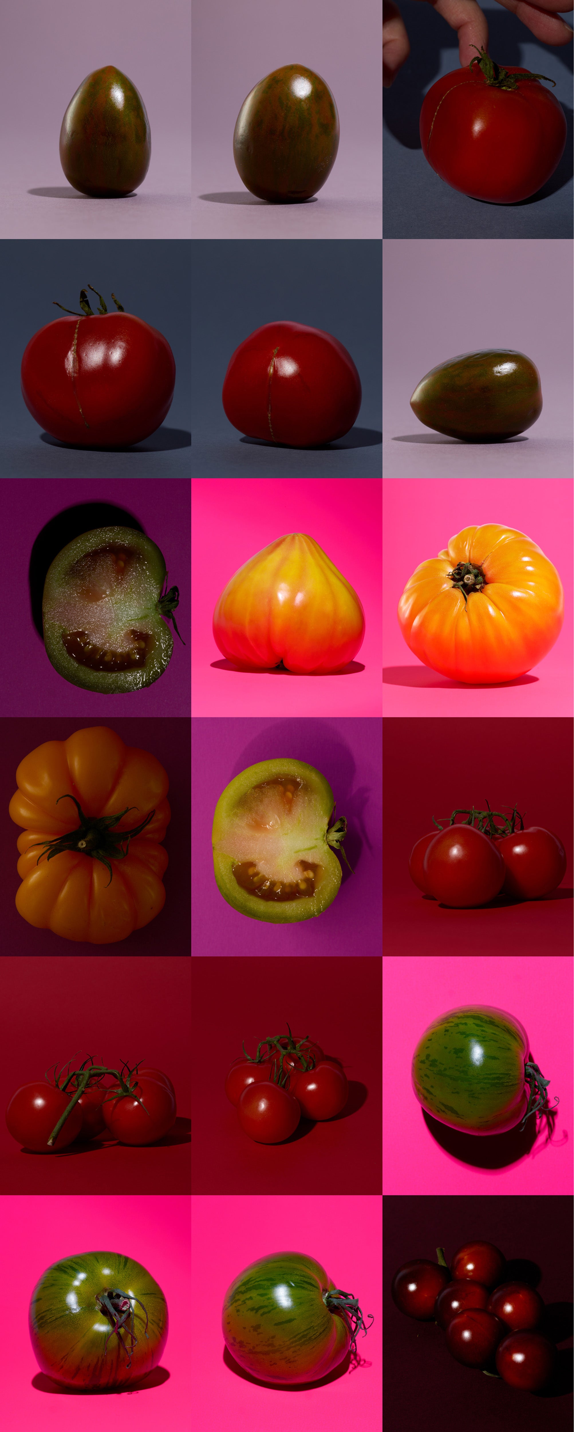 Untitled Tomatoes