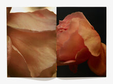 Load image into Gallery viewer, Blomst Blomst