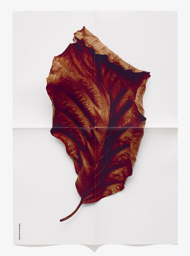 Leaf Poster