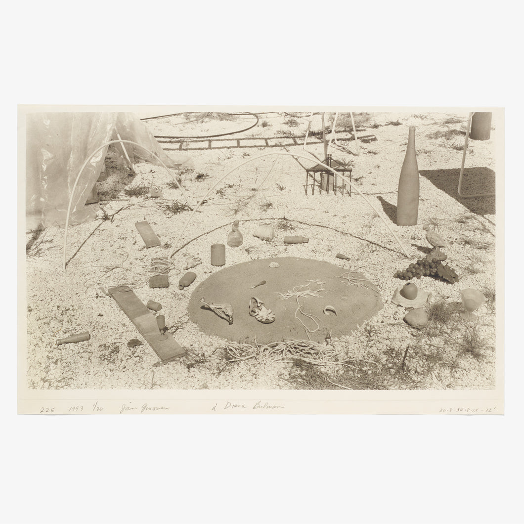 Jan Groover, Untitled (Ground Assemblage II), 1993