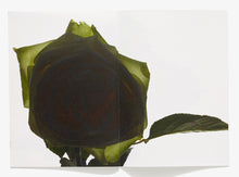 Load image into Gallery viewer, 79, Flower