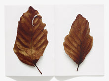 Load image into Gallery viewer, 92, Leaf