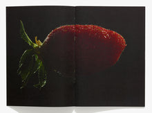 Load image into Gallery viewer, 98, Strawberry